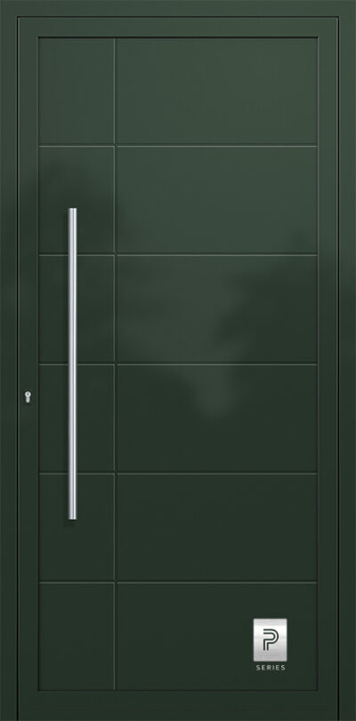 2162 RAL6009 100 premium aluminium entry door infill panels