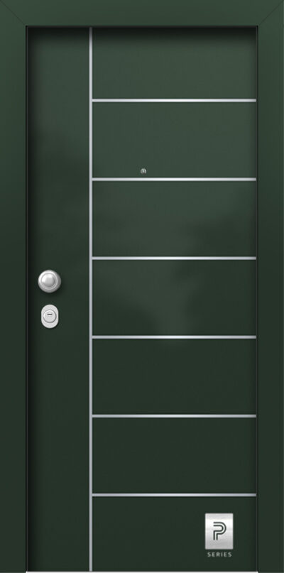 40.2146 H1 RAL6009 porta asfaleias metaliki