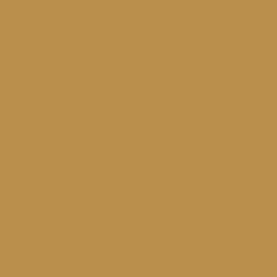 RAL1024 Ockergelb Ochre yellow