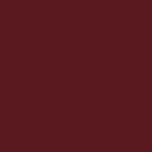 RAL3005 Weinrot Wine red