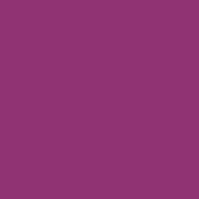 RAL4006 Verkehrspurpur Traffic purple