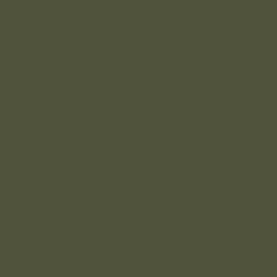 RAL6003 Olivgrun Olive green