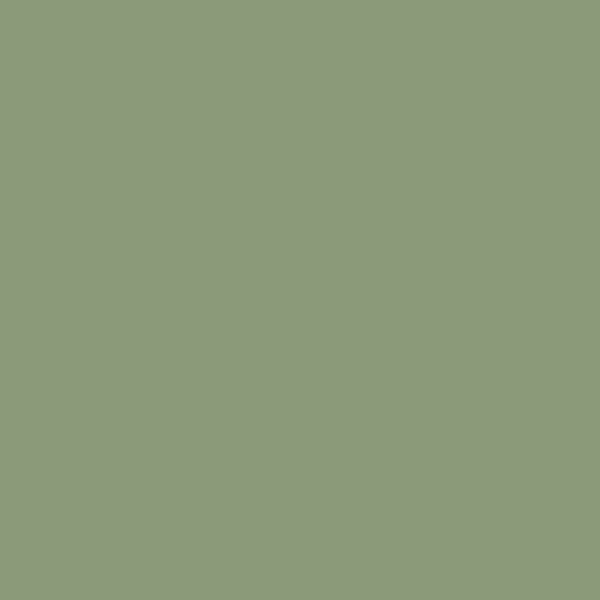 RAL6021 Blabgrun Pale green